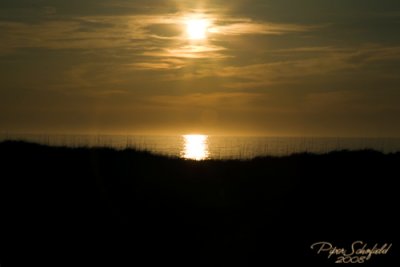 IMG_8712.jpg