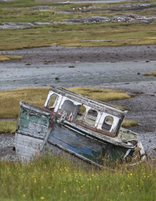 Day6-Isle of Mull-Wild About Mull tour