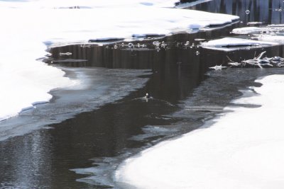 Winter-03.jpg