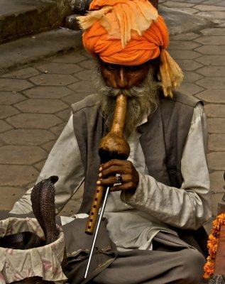 Snake charmer