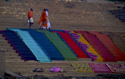 Sari Wash