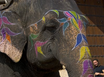 Painted elephant