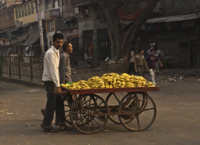 Delhi Bananas