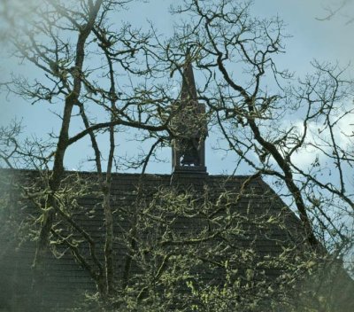 Spire Thru the Oaks