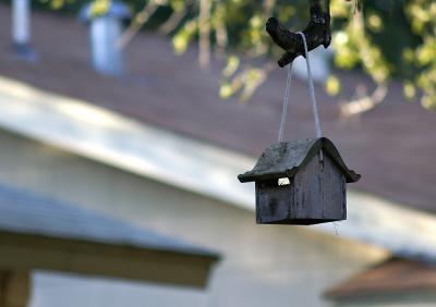 Birdhouse