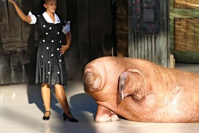 Sea World