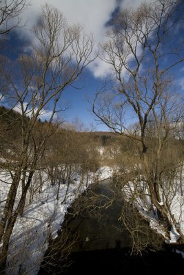 Img_4356pb.jpg