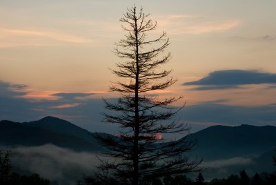 IMG_9571pb.jpg