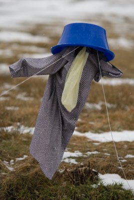 Img_4558pb2.jpg
