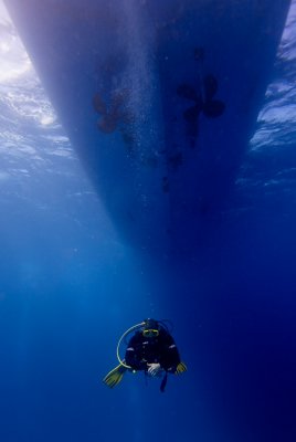 IMG_5487pb.jpg