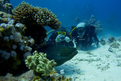 IMG_5475pb.jpg