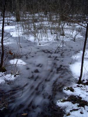DSC06665.jpg