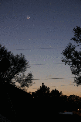 g3/76/23176/3/56703400.mercurymoon2.jpg