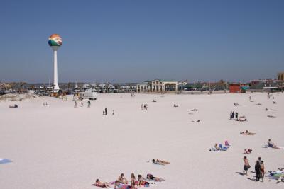 IMG_4351.jpg