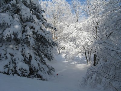 9 janvier 11.JPG