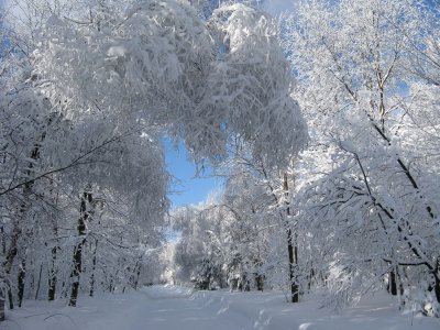 9 janvier 12.JPG