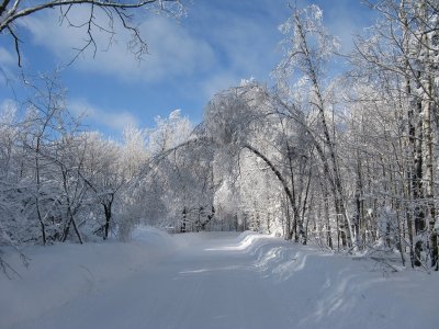 9 janvier 14.JPG