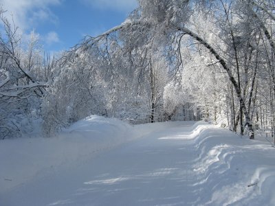 9 janvier 15.JPG