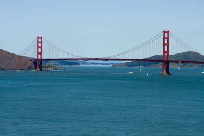 IMG_1781.jpg