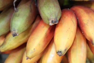 Bananas - Kandy