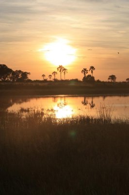 Sunrise - Okavango Delta