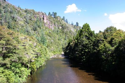 Tairua River Valley