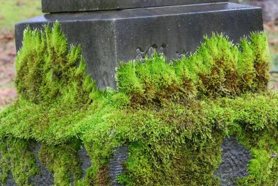 Gallery: River Memorial Cemetary