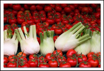 Tomatos and Fennel