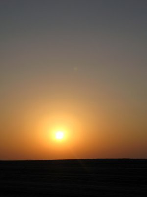 IMG_4938.jpg