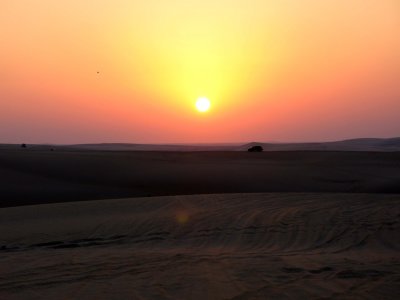 IMG_4949.jpg