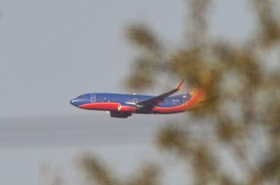 IMG06492-crop2.jpg