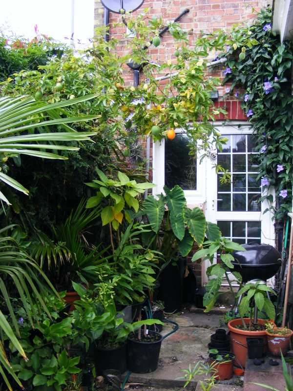 0808250013.JPG