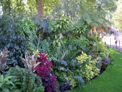 Summer bedding- St James Park, London, 2005.