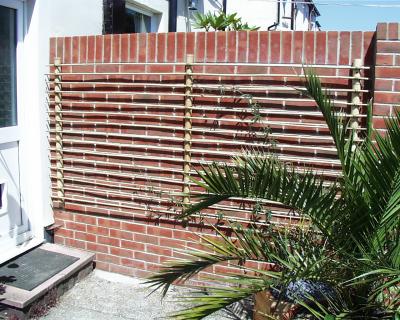 Homemade Bamboo trellis for my Passion flower.