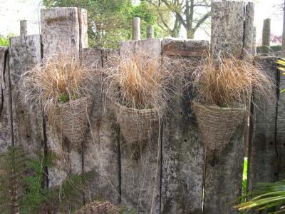 Great sleeper fence with carex
