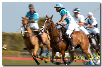 Outback Polo Team vs. Tres Vinos/Cheval - Final ( March 4th 2006 )