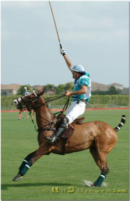 Aldolfo Cambiaso / Outback Polo Team