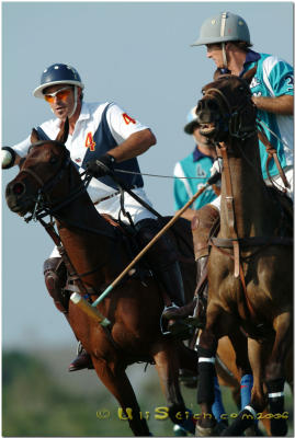 Outback Polo Team vs. Tres Vinos/Cheval - Final ( March 4th 2006 )