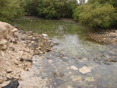 sungai kecil di belakang Alkhor