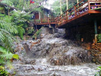 Kampung Daun, Lembang