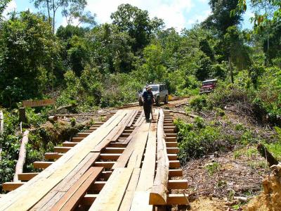 inspeksi jembatan kayu