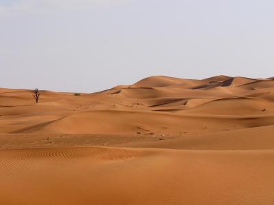 Red Dune in Hatta
