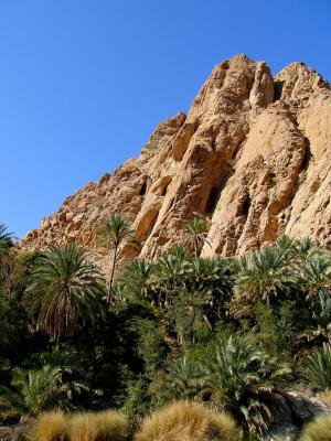 Wadi Bani Khalid