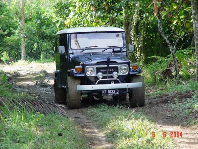 g3/76/410576/3/54737775.DSC04208.jpg