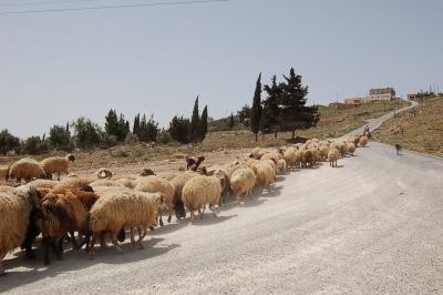 Rural Jordan