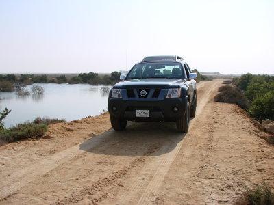 alkhor marsh
