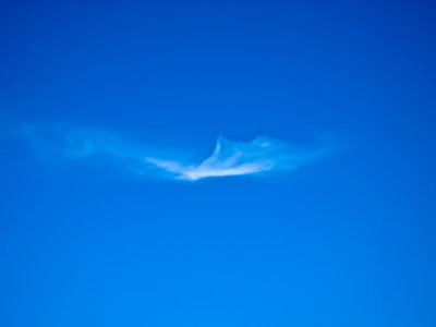 Cloud bird _A172601.jpg