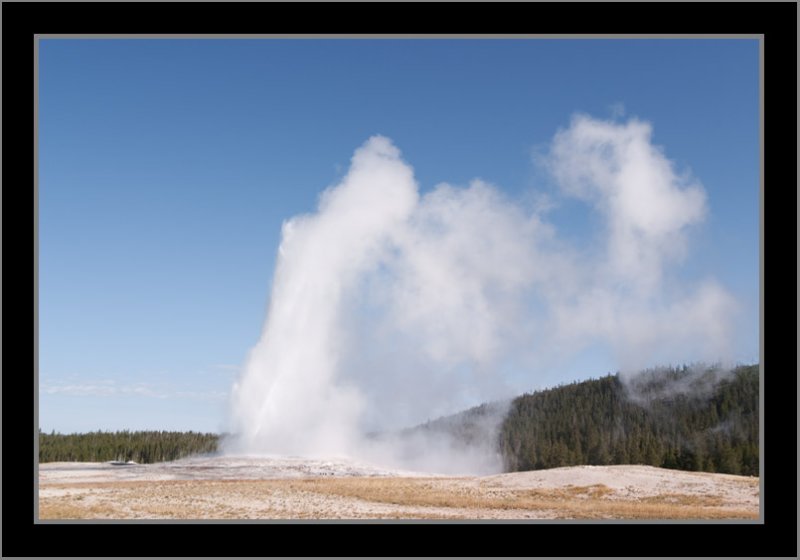 Old Faithful #5