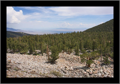 Looking back from the Bristlecone Pine Grove
