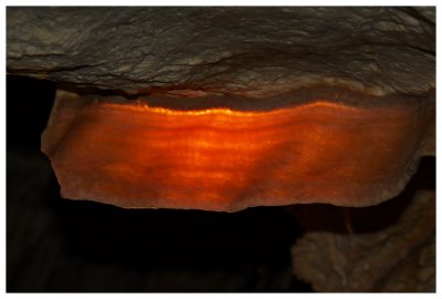 Lehman Cave, the bacon strip formation
